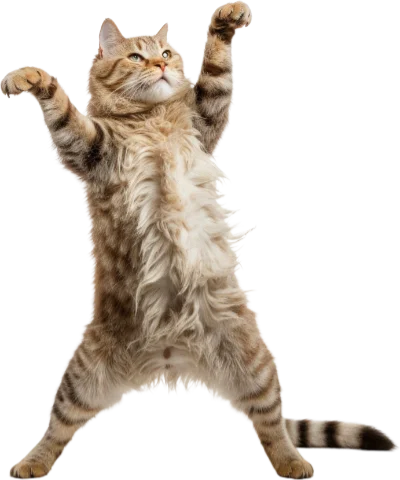 Azurio Template Sample Image